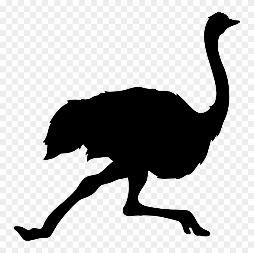 Medium Image - Ostrich Silhouette Clipart
