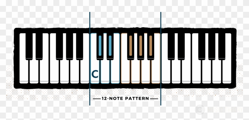 Diagram Of Piano Notes Showing The Note C Labelled - 3 Octave Of Piano Clipart #1560929