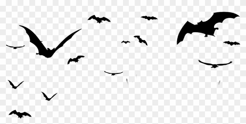 Ftestickers Sticker - Halloween Tree Silhouette Png Clipart