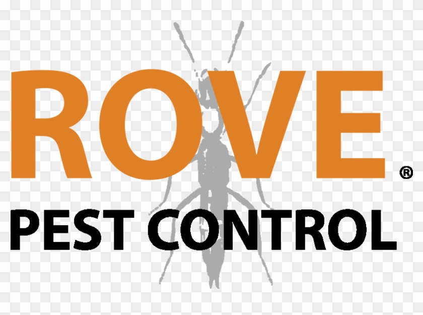 /media/19742/rove-logo1 - Graphic Design Clipart