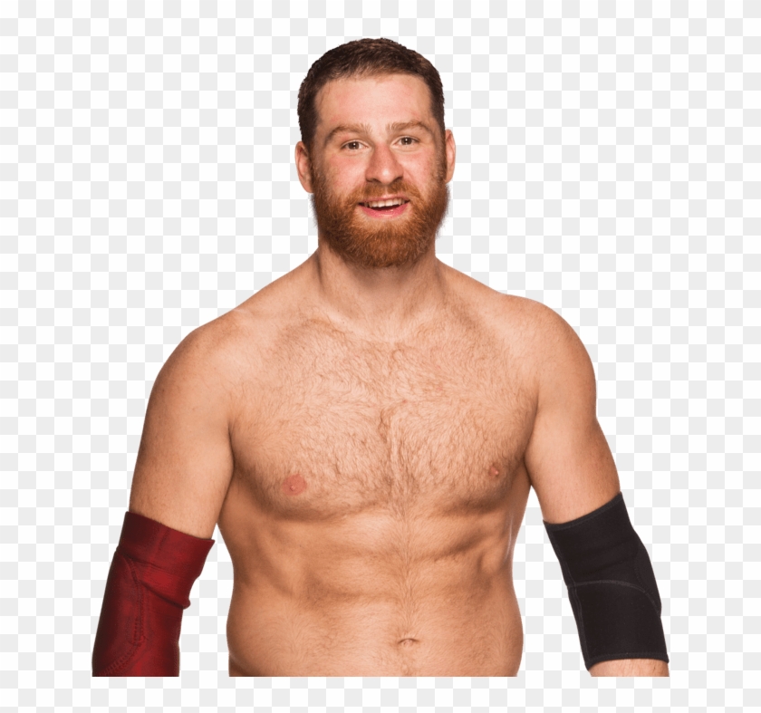 Celebrities - Wwe Sami Zayn Png Clipart #1565672