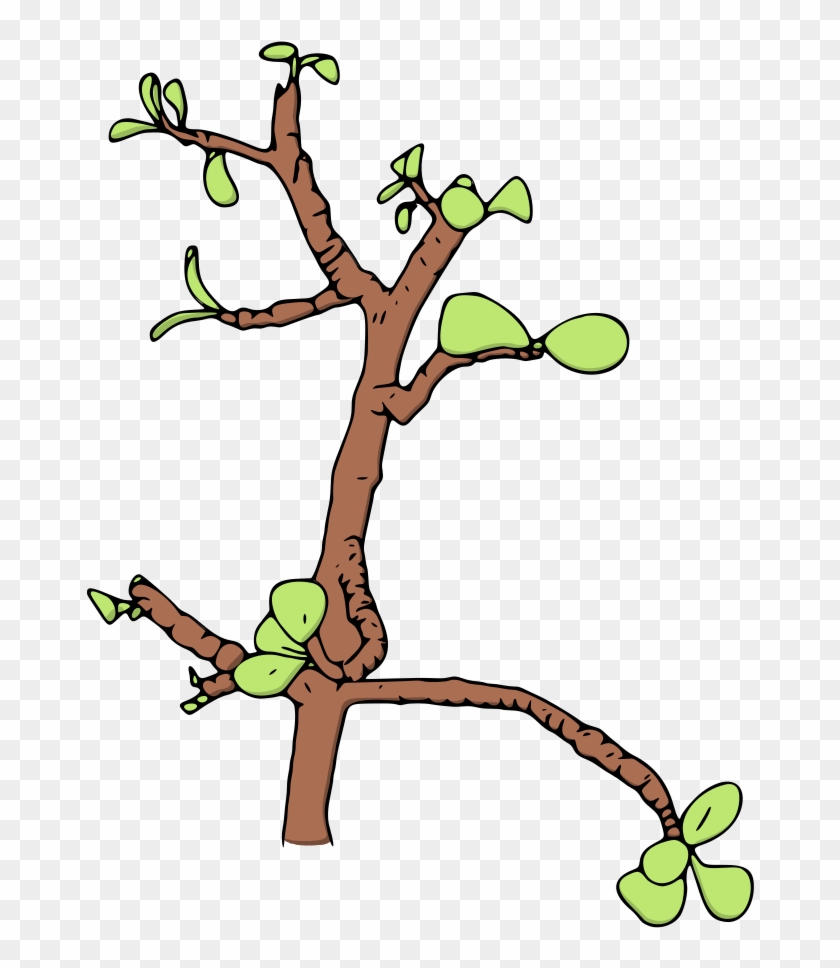 Money Tree Png - Illustration Clipart #1566321