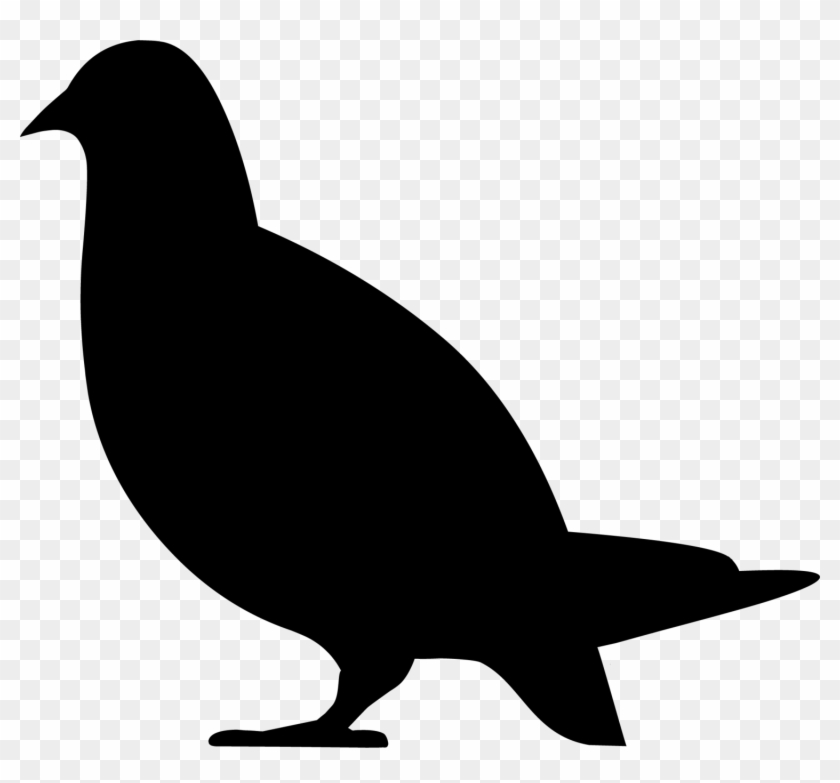 Backwoods Png Clipart