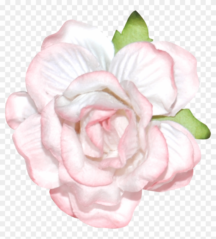 0 12df36 773e5eac Xxxl - Clip Art - Png Download #1570760