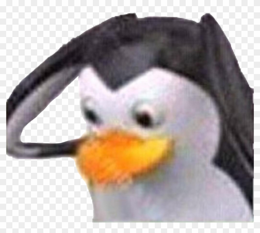 Penguin Clipart