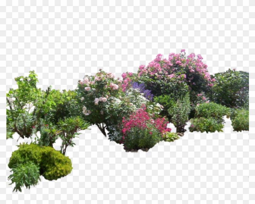 #flowers #bush #bushes #garden @ladymariacristina - Garden Transparent Png Clipart