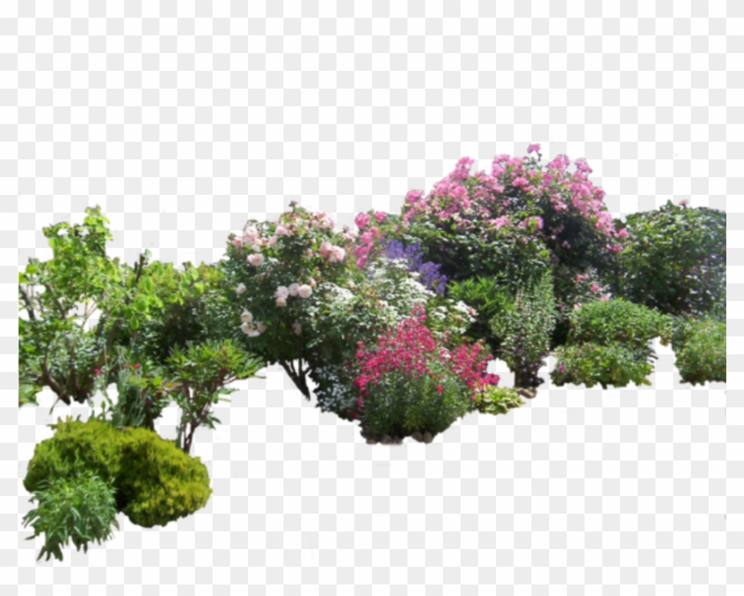 #flowers #bush #bushes #garden @ladymariacristina - Garden Transparent Png Clipart #1571046