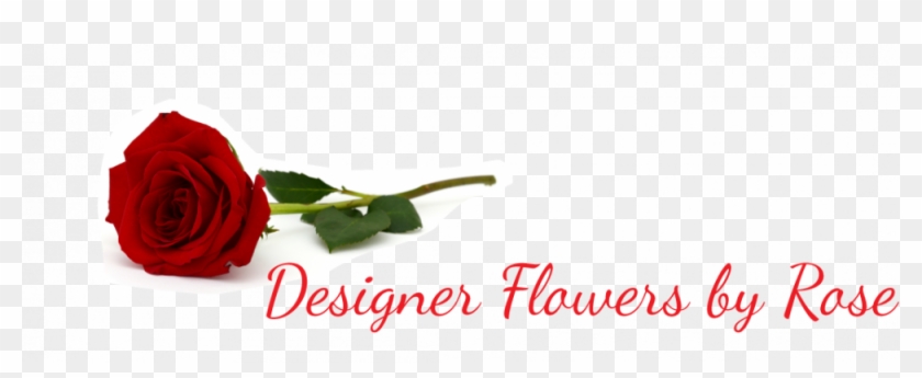 Designer Flowers By Rose - Garden Roses Clipart #1571230
