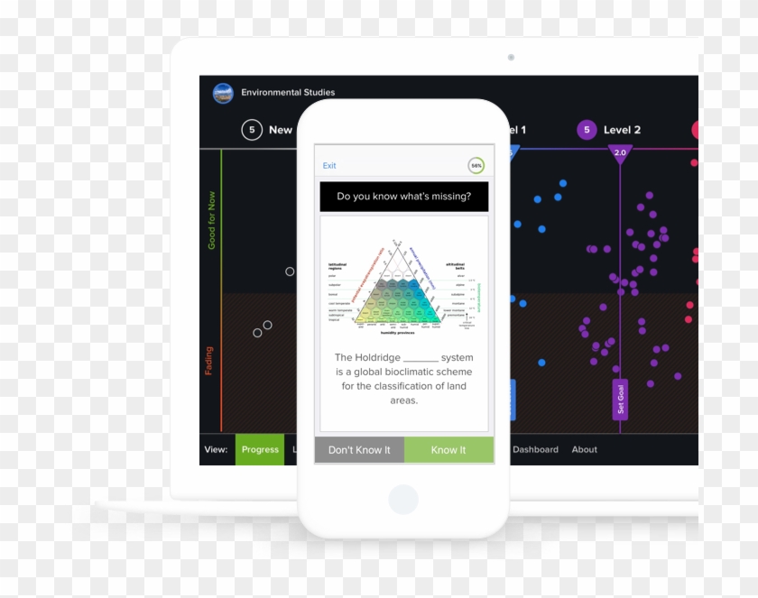 One Platform For - Zonas De Vida De Holdridge Clipart #1572147