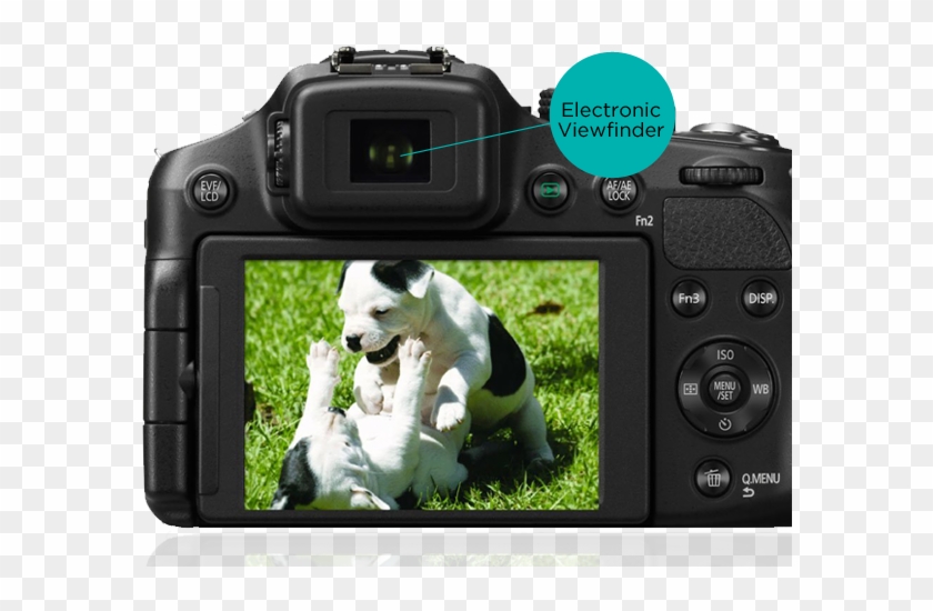 Viewfinder - Fz200 Back Clipart