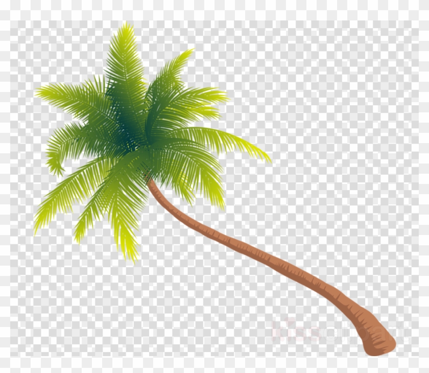 Download Tree Png Gif Clipart Palm Trees Clip Art Tree - Transparent Palm Tree Gif