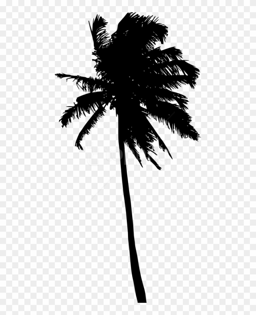 Free Png Palm Tree Silhouette Png - Silhouette Clipart