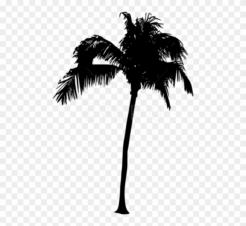 Free Png Palm Tree Silhouette Png - Transparent Palm Tree Silhouette Png Clipart #1573882