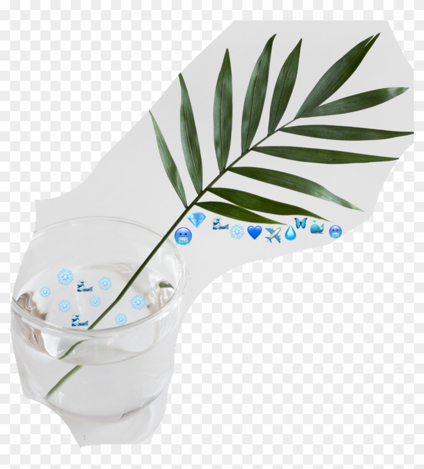 Blue Emoji Challenge Water Nature Plants Stayhydrated - Houseplant Clipart