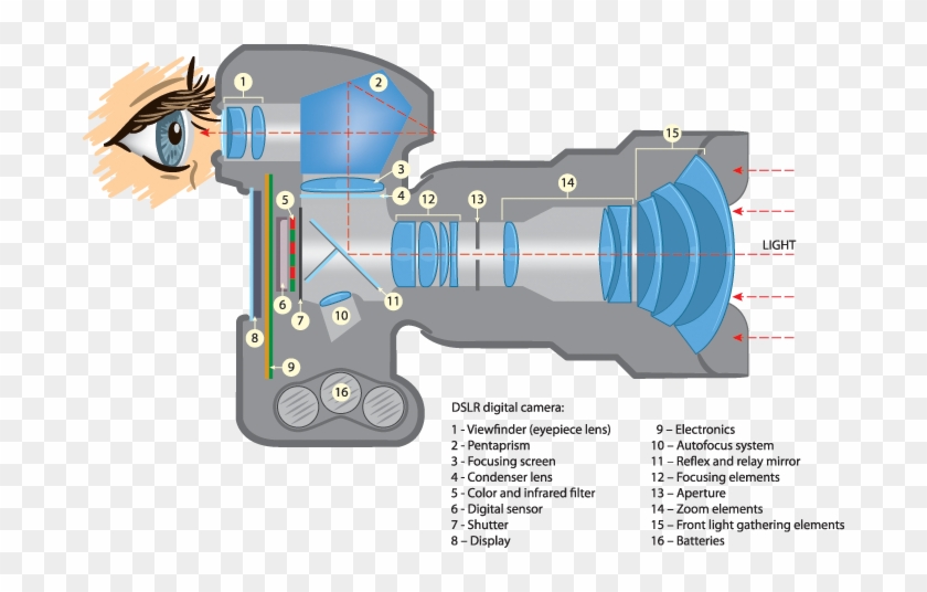 Mirrorless Vs Dslr, Photography Basics, Photography - Full Form Of Dslr Camera Clipart #1574267