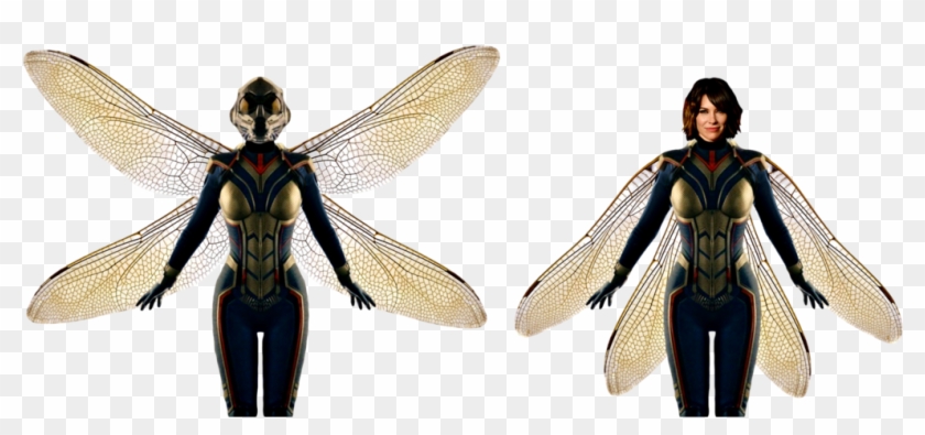 Png Vespa - Hope Van Dyne The Wasp Clipart