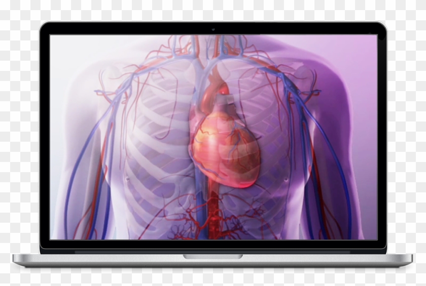 Watch A Demo For Heart And Circulatory Premium For - Led-backlit Lcd Display Clipart