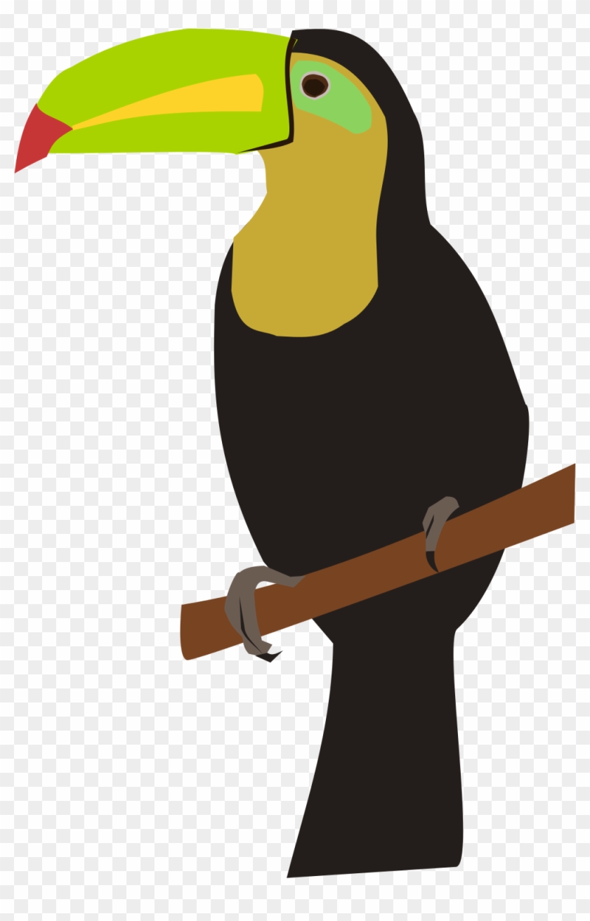 Open - Toucan Clipart #1578484