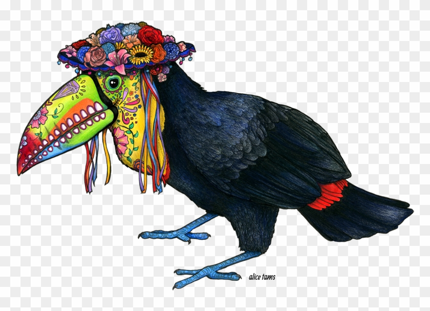 Toucan Drawing Png Clipart