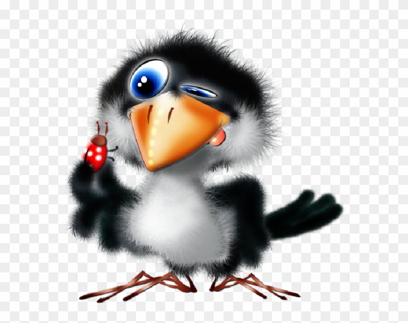 Toucan Clipart Animated - Png Download