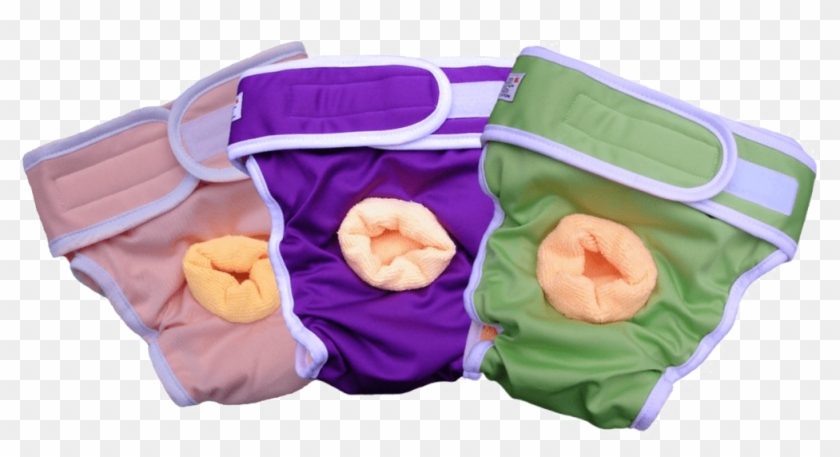 Diaper Png Picture - Incontinence Pads For Dogs Clipart