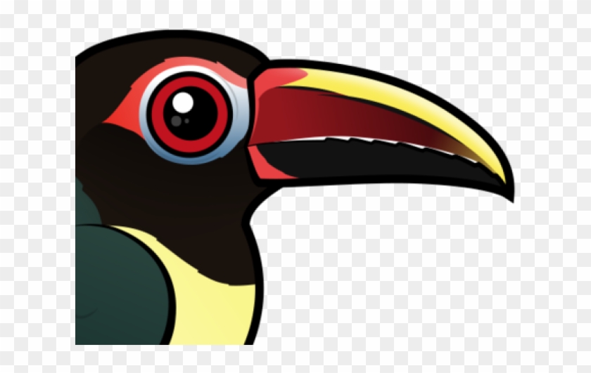 Toucan Clipart
