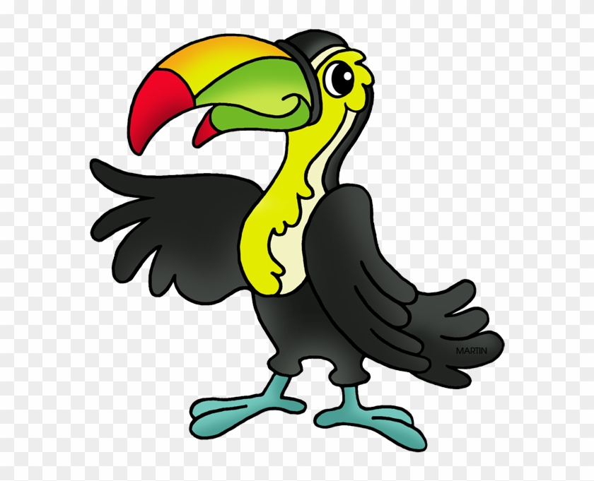 Toucan - Buzzard Clipart