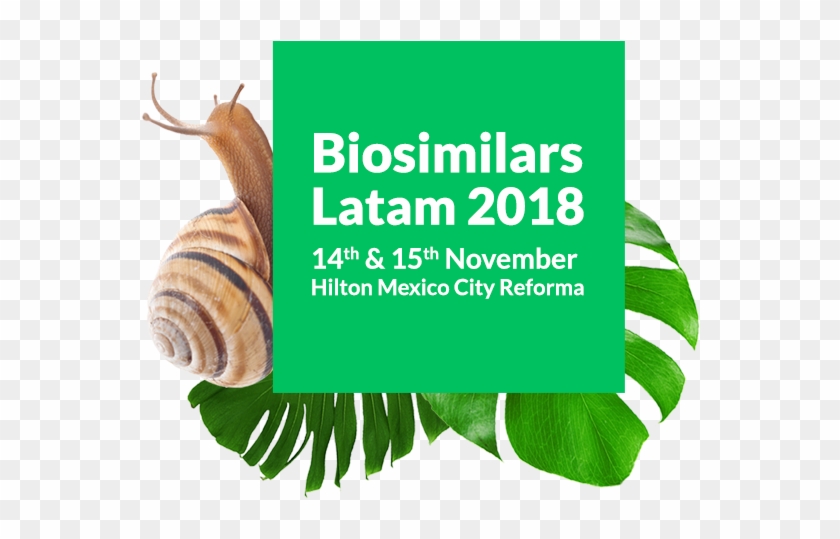 Biosimilars Latam 2018 Forum - Biosimilars Latam 2018 Clipart #1579897