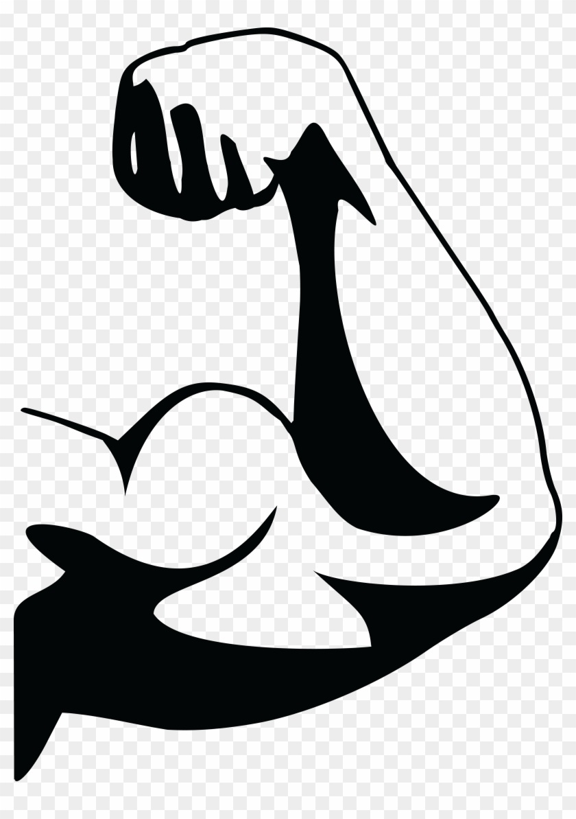 Clipart - Muscle Clip Art - Png Download #1579989