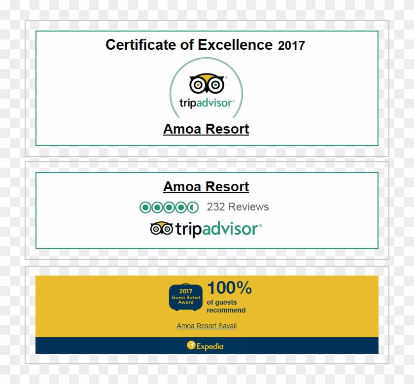 Social Media - Trip Advisor Clipart #1580774