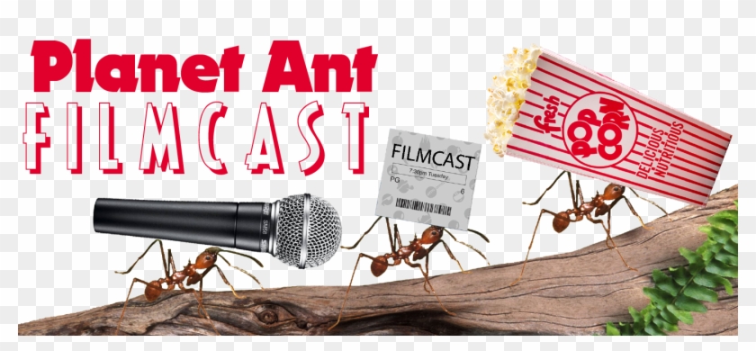 Filmcast Episodes - Proverbs 6 6 8 Clipart #1582548