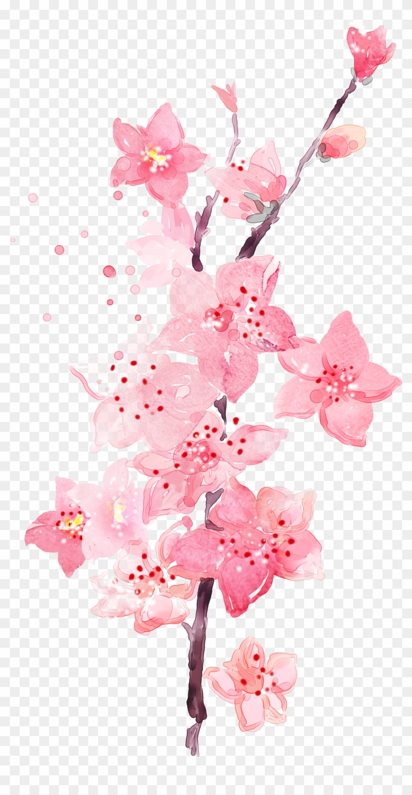 Floral Wallpaper Watercolor - Watercolor Peach Blossom Flower Clipart