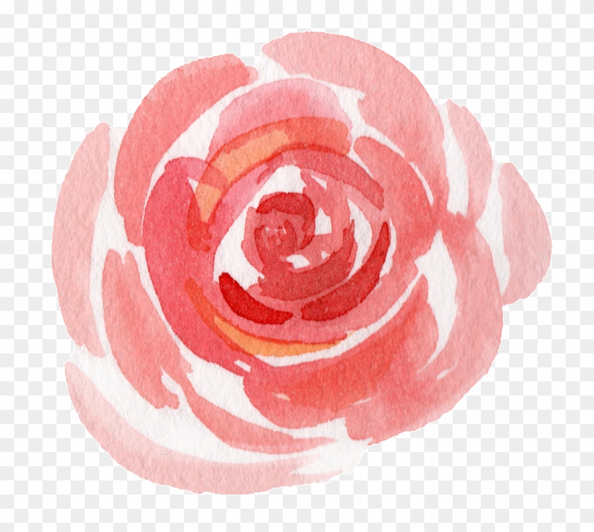 Pink Watercolor Hand Painted Flowers Transparent , - Garden Roses Clipart