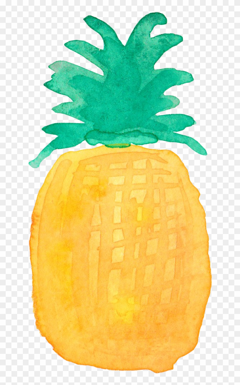 Pineapple Drawing Watercolor Painting Clipart