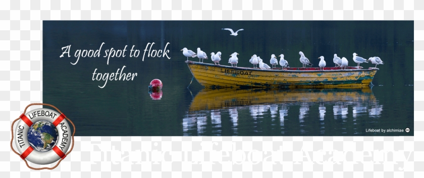 Lifeboat Gull Masthead With Logo 6 A Compressed - Planet Earth Clipart #1585932
