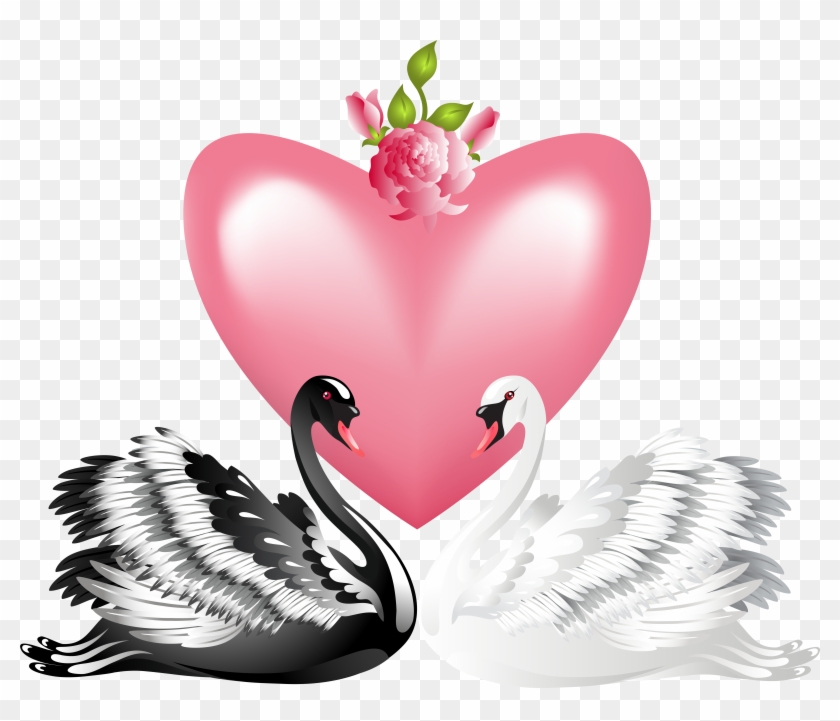 Valentine's Day Love Swans Transparent Png Clip Art - Transparent Valentine
