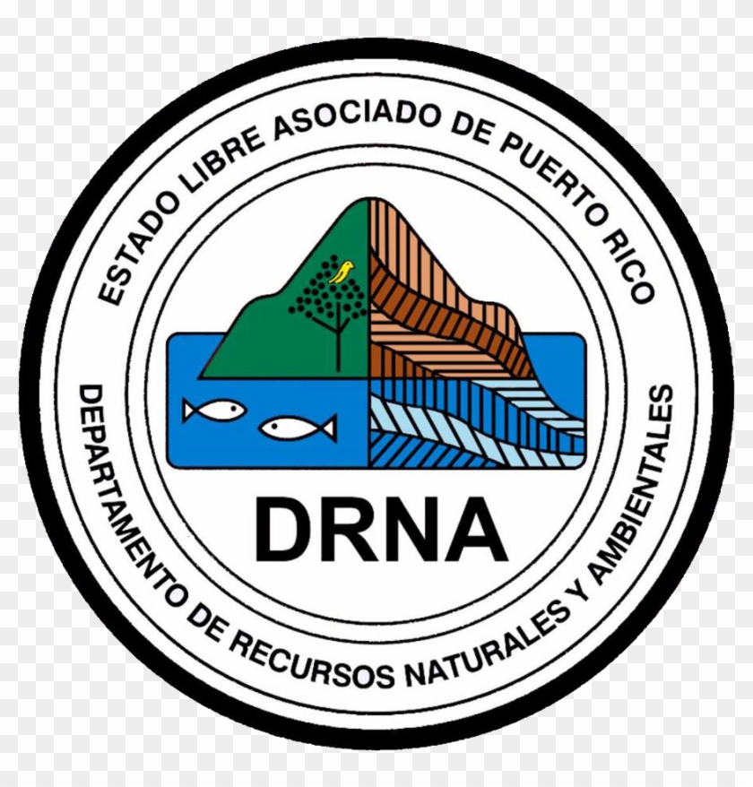 Puerto Rico Clipart Anchor - Drna - Png Download #1588157