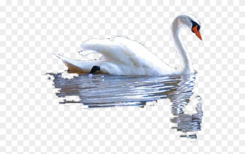 Collage Art Clipart #1588269