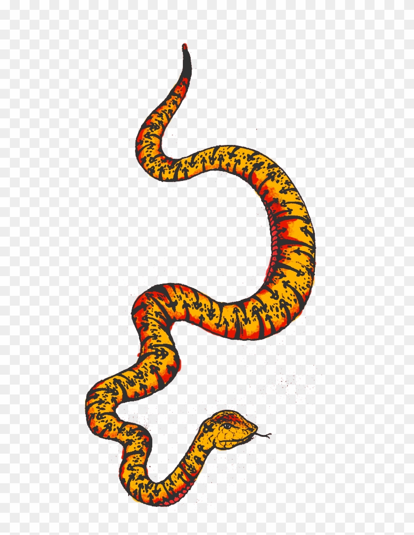 Drawn Snake Transparent - Colourful Snake Png Clipart