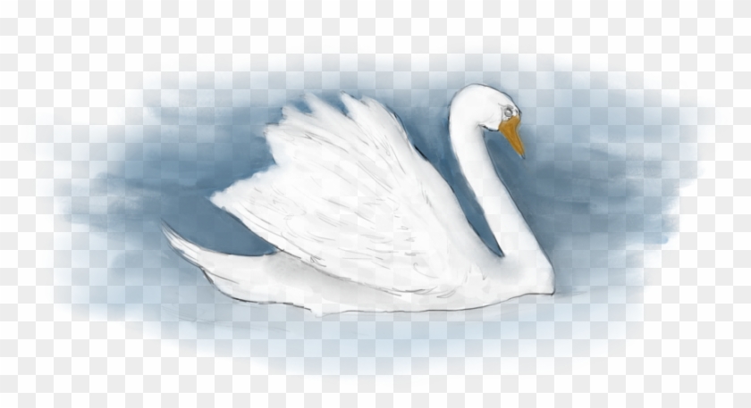 Org/wp Transparent - Tundra Swan Clipart #1588592