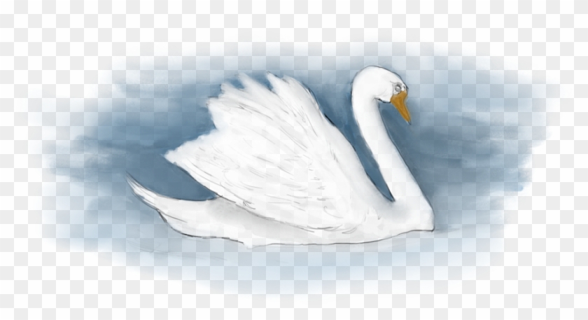 Org/wp Transparent - Tundra Swan Clipart