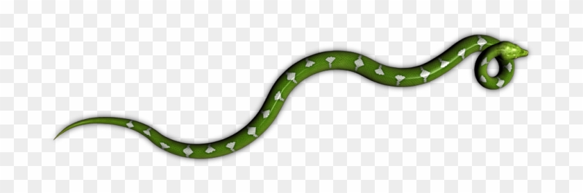 54 65k Python Tree Lrk E 05 Feb 2009 - Common Kingsnake Clipart #1588804