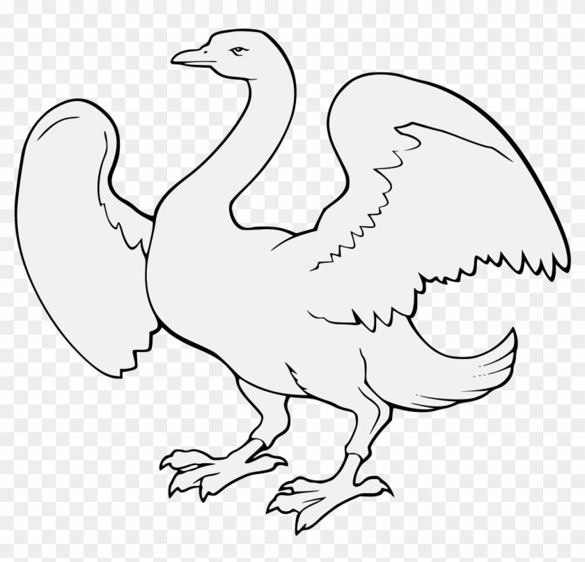 Details, Png - Phasianidae Clipart