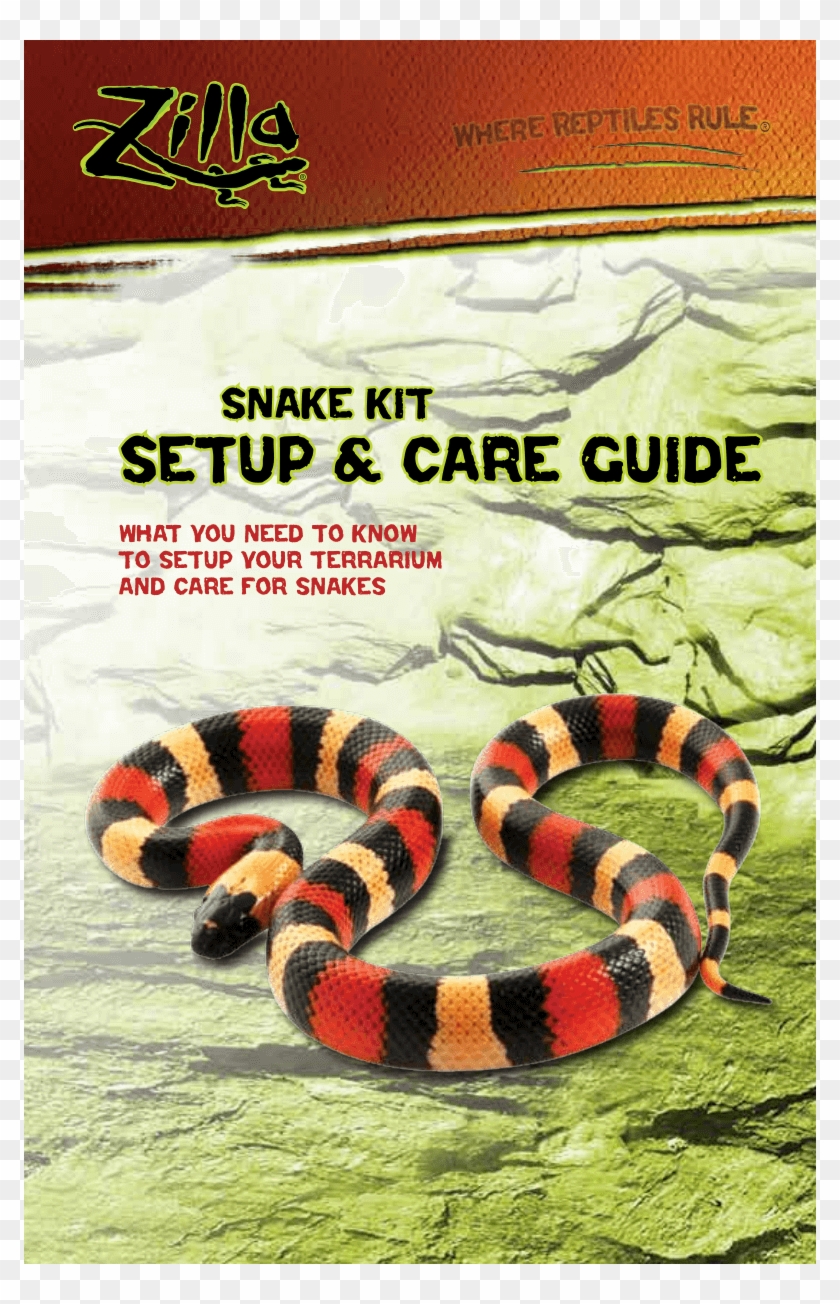 zilla snake kit