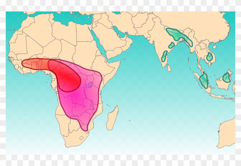 Bichiih Yee Adilohii Map - Rainforest In Africa Location Clipart