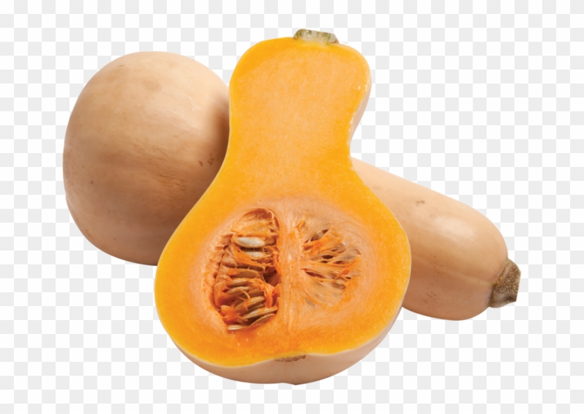 Butternut Squash Png Clipart