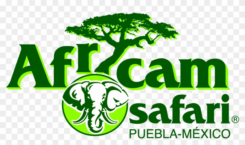Africam Safari Puebla &187 Placer Y Negocios - African Safari Puebla Logo Clipart #1589757
