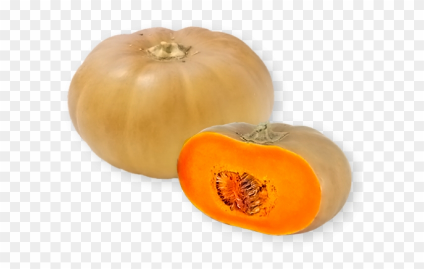 Butternut Squash Png - Squash Png Transparent Clipart #1589875