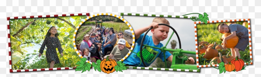 Squash Tunnel, Hay Ride, Sitting On Tractor, Pumpkin Clipart #1590355