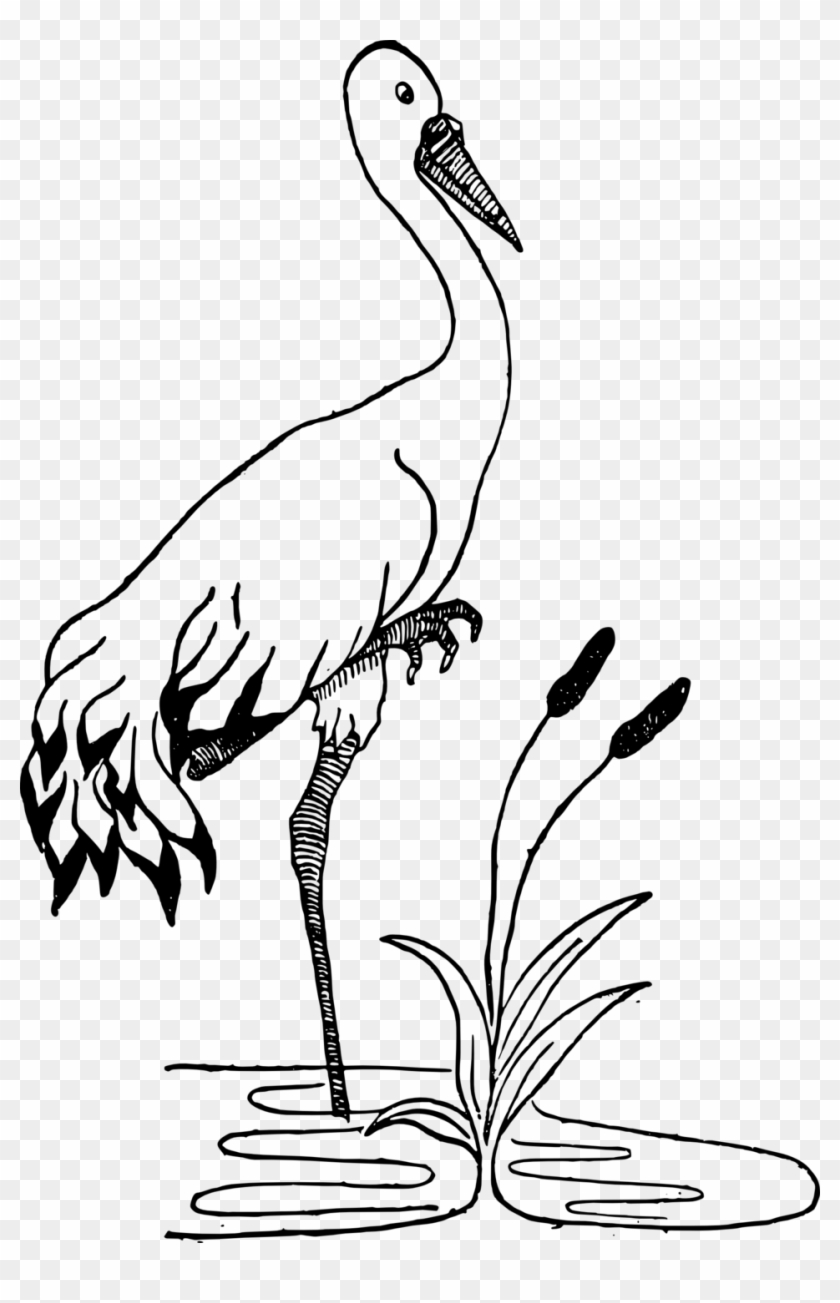 Crane In A Pond - Crane Black And White Clipart - Png Download